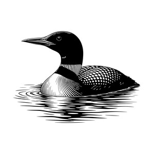 Puede incluir: Una ilustración gráfica en blanco y negro de un colimbo grande nadando en el agua. El ave se muestra de perfil, mirando hacia la izquierda, con líneas detalladas que muestran su cabeza oscura, el anillo del cuello y las plumas.