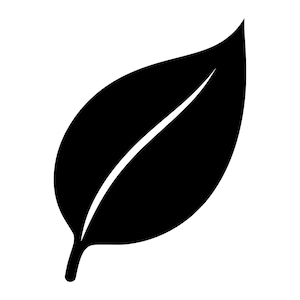 Op de afbeelding: Een effen zwart silhouet van een enkele bladvorm met een puntige top en een gebogen basis, voorzien van een centrale witte lijn die de nerf voorstelt die van de steel naar de top van het blad loopt, tegen een effen witte achtergrond.