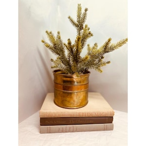 May include: A brass planter with a decorative band holds a faux evergreen plant. The planter sits atop a stack of three vintage books with titles including "Epidemic" and "The Glass Flame". The books are in varying shades of beige and brown.