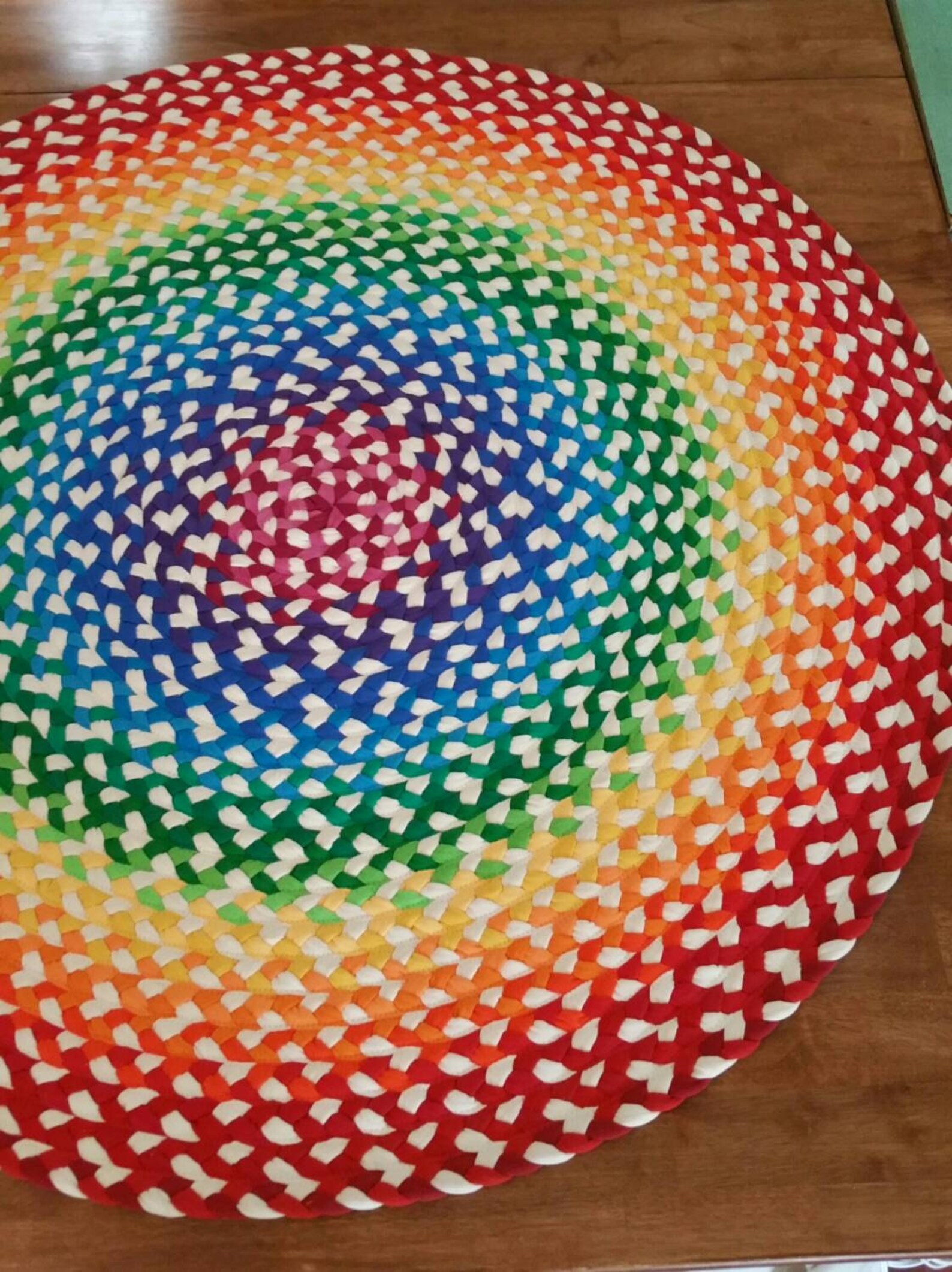 Rainbow Braided Rug Created From New and Recycled T Shirts Etsy