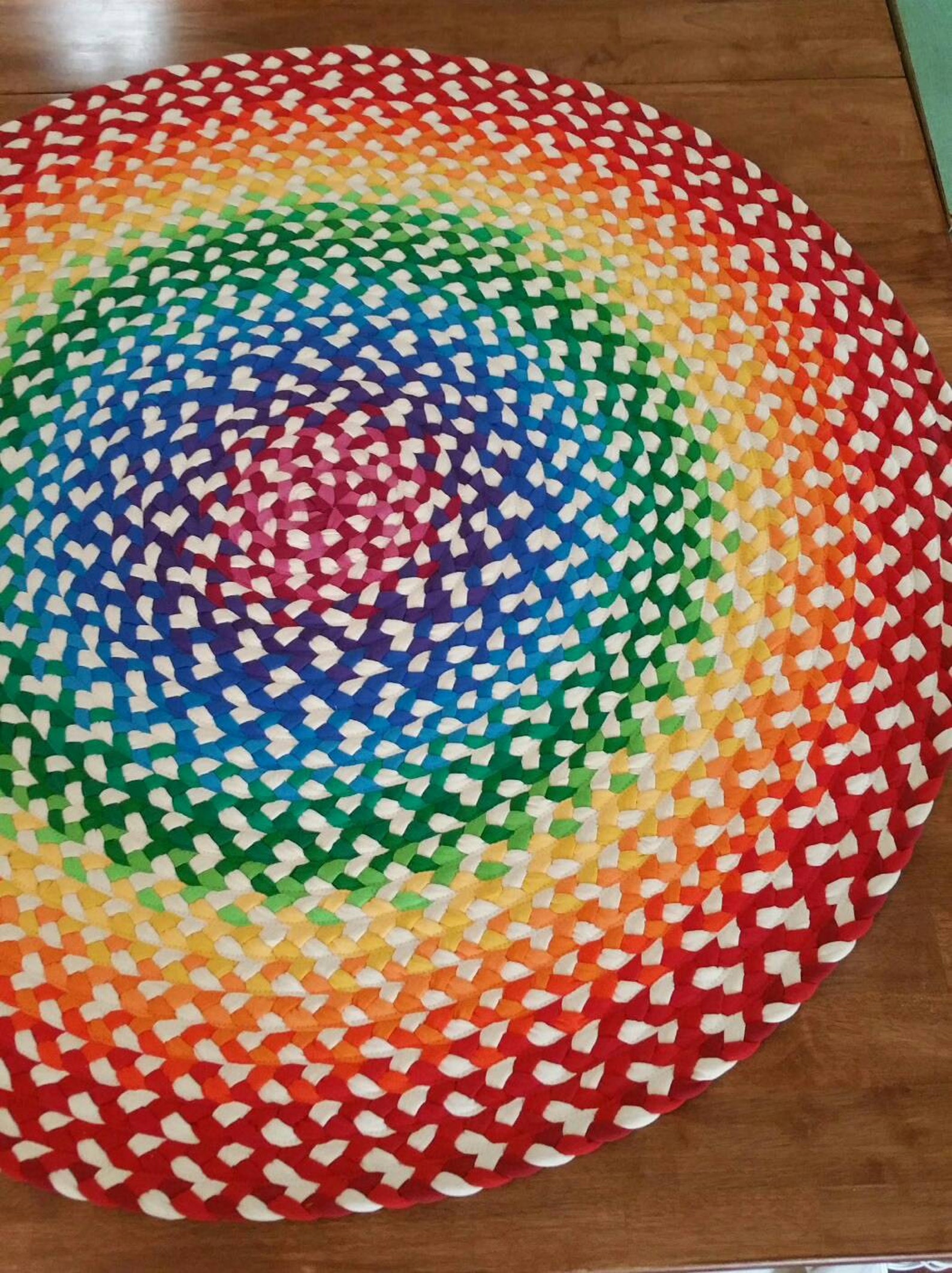 Rainbow Braided Rug Created From New and Recycled T Shirts Etsy