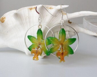 Real Orchid Earrings with Hoops - Green