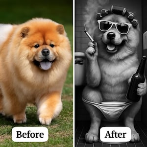 May include: A before-and-after image of a Chow Chow dog. The "before" image shows a fluffy, orange dog on grass. The "after" image is a black and white illustration of the dog wearing sunglasses, hair rollers, and holding a bottle and a cigarette.