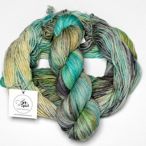 Hand Dyed Yarn Tropical Love Birds Variegated Yarn Superwash Merino Worsted Knitting Crochet Yarn DK Weight yarn image 2