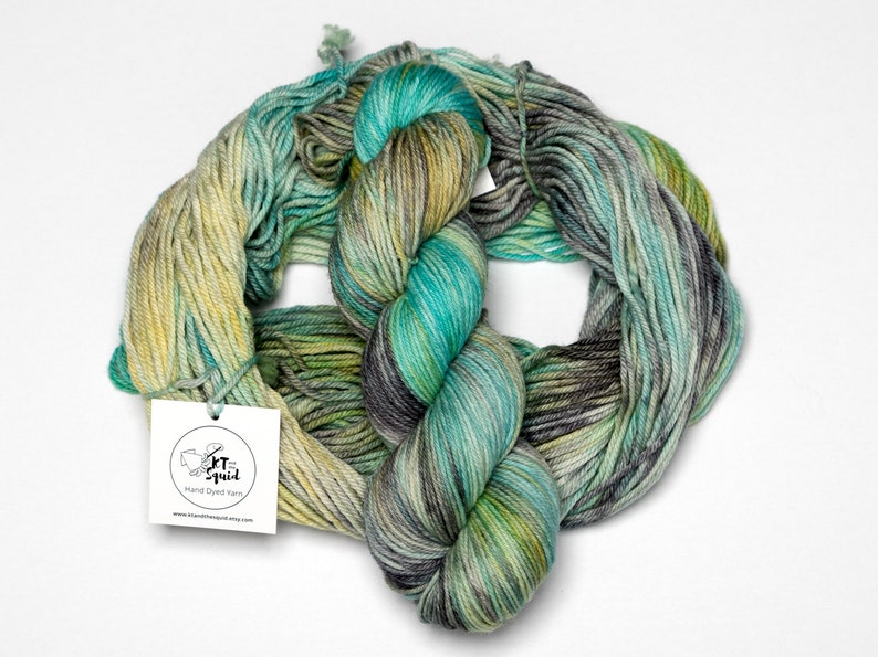 Hand Dyed Yarn Tropical Love Birds Variegated Yarn Superwash Merino Worsted Knitting Crochet Yarn DK Weight yarn image 2