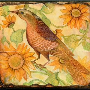 Sunflowers - A Fine Art Greeting Card