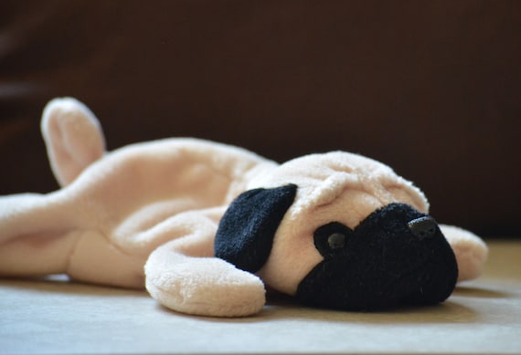 ty pug plush