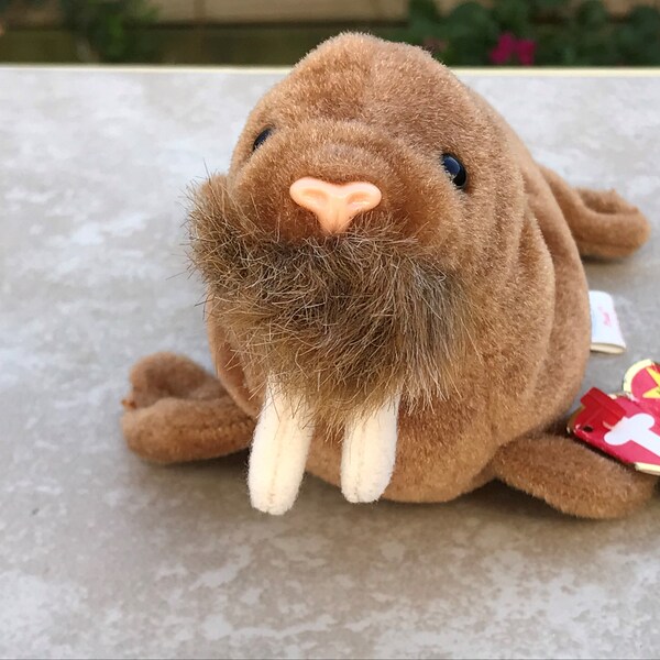 TY Paul, Plush Walrus, 1999