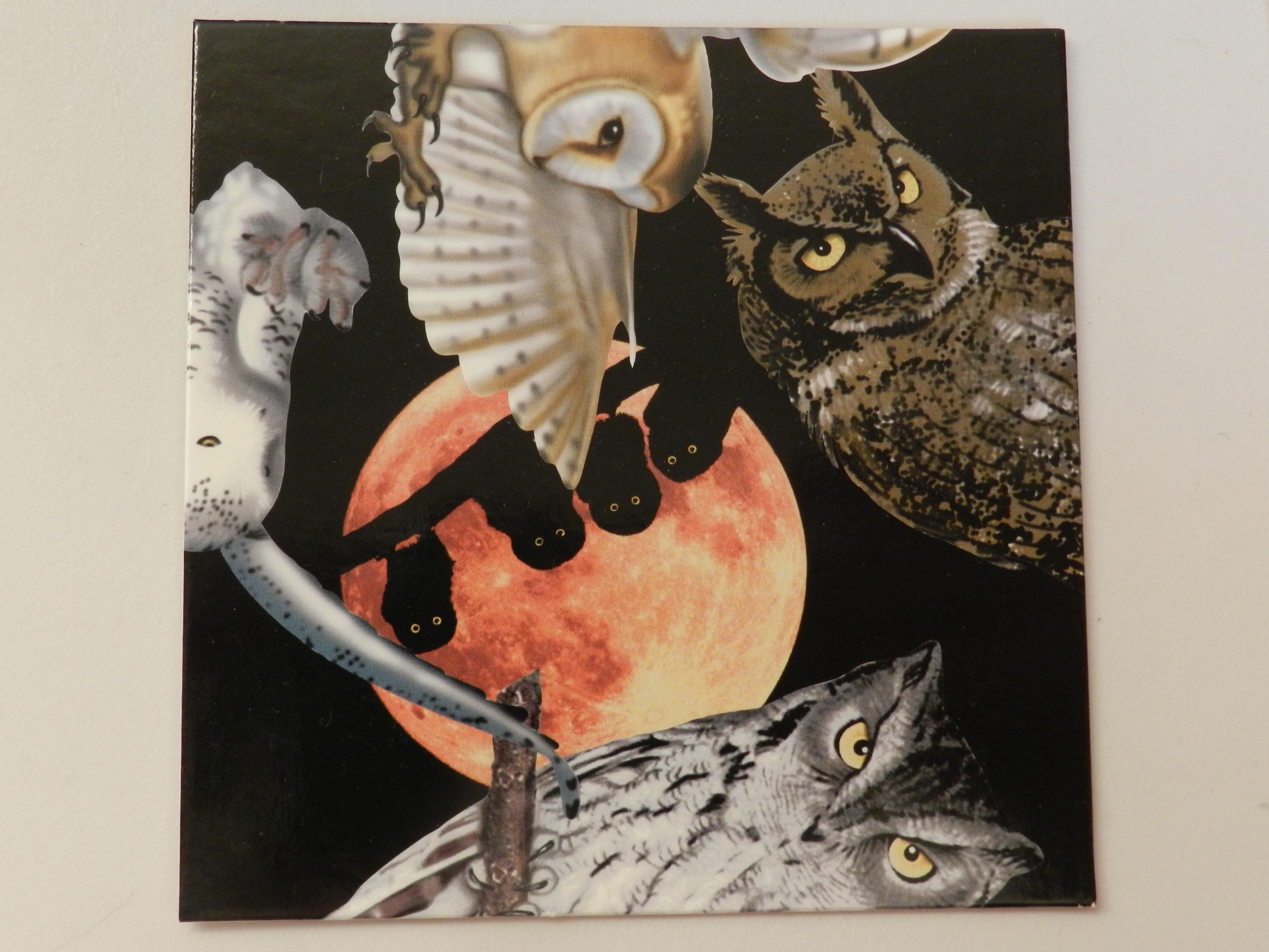 2002 Scramble Squares Owl Puzzle by B. Dazzle – 9‑piece Teaser - Etsy