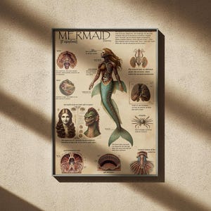 Mermaid anatomy, Original drawing, Fantasy art print, Medieval mythical creatures, Unique home decor, Stylish room design, Wonderful gift