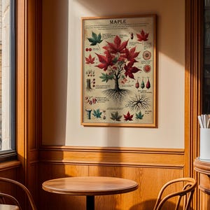 Maple Tree Anatomy Poster, Botanical Wall Art