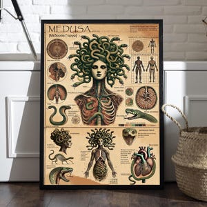 Könnte beinhalten: Eine Illustration im Vintage-Stil von Medusa, einer griechischen mythologischen Figur mit Schlangenhaaren. Die Illustration enthält anatomische Details ihres Körpers und der Schlangen, mit Textbeschriftungen in Englisch. Der Titel "MEDUSA (Médousa Γοργών)" befindet sich oben im Bild.