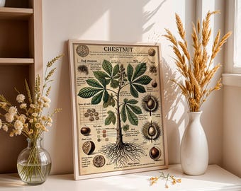 Pôster de anatomia de castanheiro, Desenho original, Impressão de arte botânica, Decoração de parede de plantas e árvores, Design floral elegante, Pôster vintage