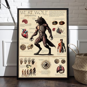Werewolf anatomy, Original drawing, Fantasy art print, Medieval mythical creatures, Unique home decor, Stylish room design, Wonderful gift