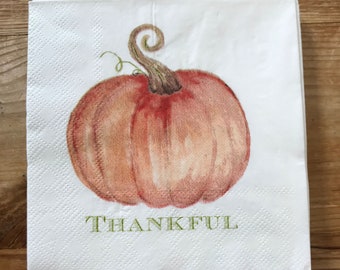 Fall Decor Halloween Pumpkin Decor Paper Napkins Fall Napkins Cocktail Napkins Thanksgiving Napkins Farmhouse Decor Heirloom Pumpkins White Party Napkins 5 x 5 Pk 20