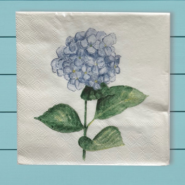 hydrangea cocktail napkins ~ colorful original art ~ beverage paper napkins ~ floral party napkins ~