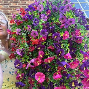 May include: A colourful hanging basket filled with artificial flowers in shades of purple, pink, and red, with green leaves. The flowers cascade downwards, creating a full and lush display. The basket is against a brick wall.