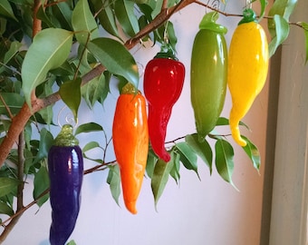 Glass Chili Peppers ~ Hand Blown Ornament. Available in Red, Purple, Orange, Yellow and Green. Aprox. 5 inches long