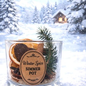 May include: A clear glass jar filled with dried orange slices, a cinnamon stick, star anise, and a sprig of evergreen. A brown oval label reads "Winter Spice Simmer Pot". The background shows a snowy winter scene with trees and a cabin.