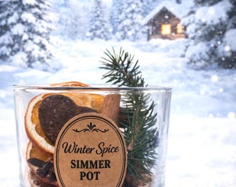 May include: A clear glass jar filled with dried orange slices, a cinnamon stick, star anise, and a sprig of evergreen. A brown oval label reads "Winter Spice Simmer Pot". The background shows a snowy winter scene with trees and a cabin.