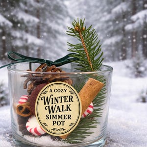 May include: A clear glass jar filled with a pine cone, cinnamon stick, peppermint candies, and a sprig of evergreen. The jar has a label that reads "A Cozy Winter Walk Simmer Pot". A green ribbon is tied around the top.