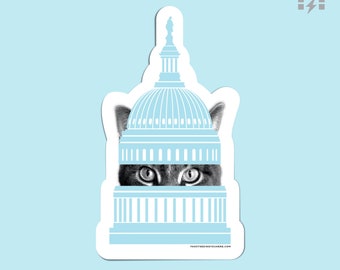 Capitol Cat Magnet – DC Pride Kitty Art
