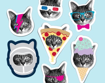 gee whiskers sticker set - cat stickers - kitty stickers - vinyl