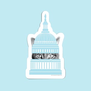 Adesivo ou ímã de gato Capitol - DC Pride Kitty - Washington DC Cat - First Feline - Cat Decal