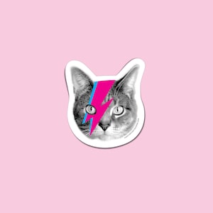 sticker ou aimant de chat bowie - sticker vinyle david bowie cat - art david bowie - sticker chat kitty stardust - sticker pour ordinateur portable