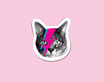 david bowie cat collar