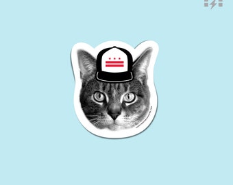 DC Pride Kitty Magnet: Washington DC Flag Hat Cat Kitchen Decor
