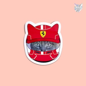 F1 Rennkatzenaufkleber - Charles Leclerc Aufkleber in Metallic-Optik - Rennsport-Laptopaufkleber - Formel1-Vinyl-Aufkleber