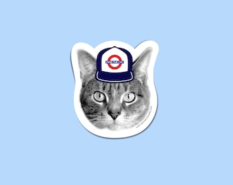 London Pride Kitty Sticker: The Tube Cat Decal
