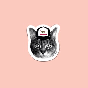 gee whiskers: Cali cat sticker - California love kitty - CA pride - California state flag