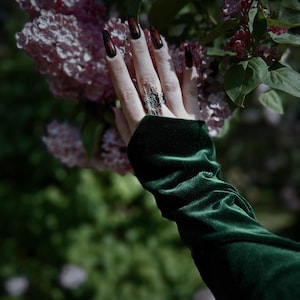 Pu&ograve; includere: Una mano con unghie lunghe e scure con una sfumatura rossa, che indossa un anello d'argento e una manica di velluto verde scuro, che si protende verso un grappolo di fiori rosa.