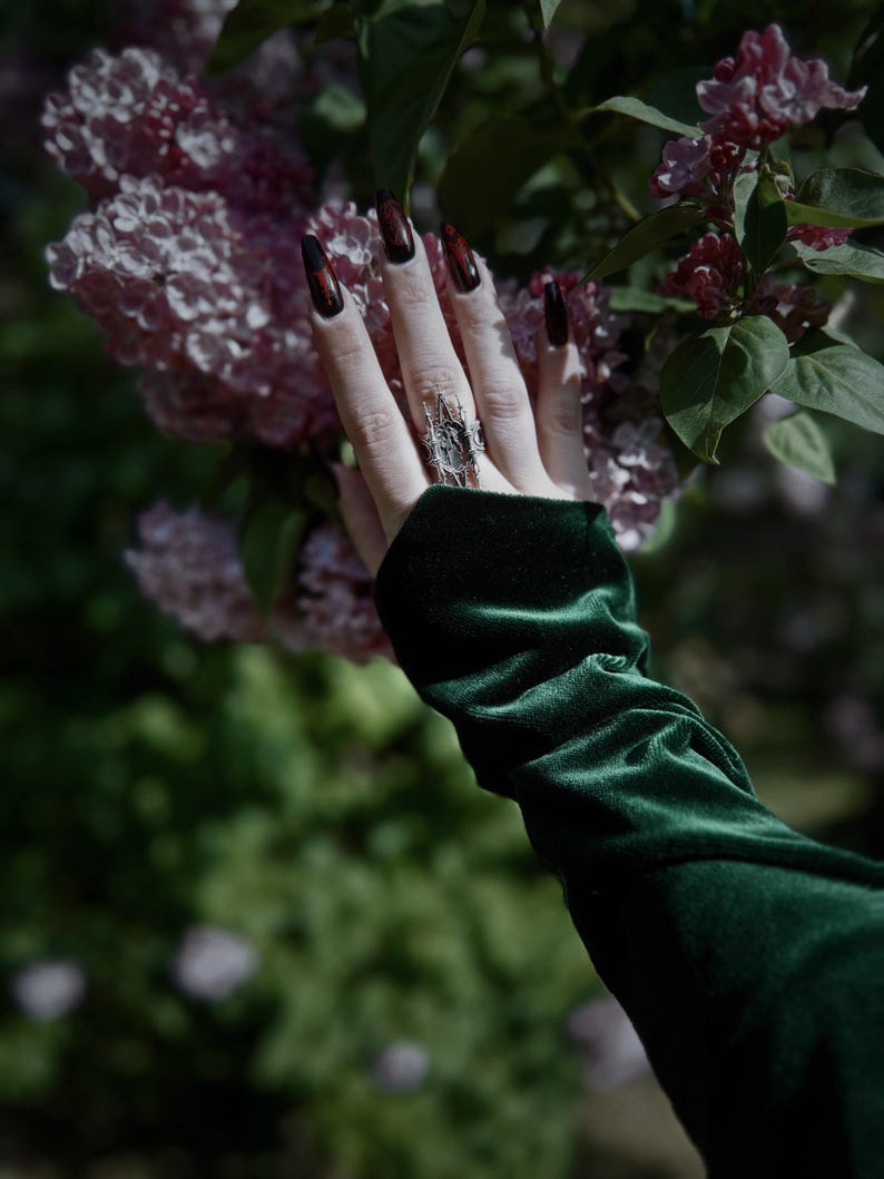 Pu&ograve; includere: Una mano con unghie lunghe e scure con una sfumatura rossa, che indossa un anello d'argento e una manica di velluto verde scuro, che si protende verso un grappolo di fiori rosa.