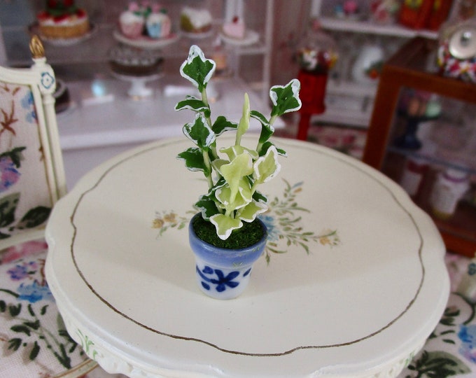 Miniature Plant, Mini Ivy Plant In Blue and White Ceramic Flower Pot, Style #89, Dollhouse Miniature, 1:12 Scale, Mini House Plant