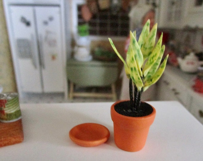 Miniature Plant, House Plant in Clay Pot With Removable Saucer, Style 81, Dollhouse Miniature, 1:12 Scale, Accessory, Mini Plant