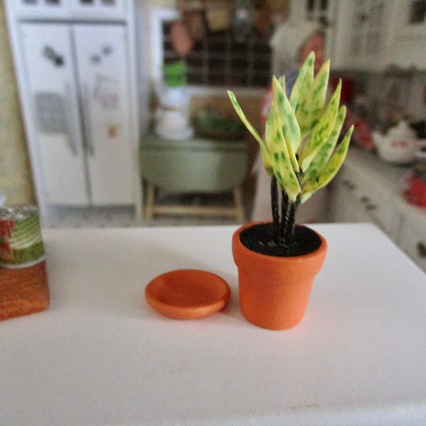 Plante miniature, plante d'intérieur en pot en argile avec soucoupe amovible, Style 81, Miniature de maison de poupée, échelle 1:12, accessoire, Mini plante