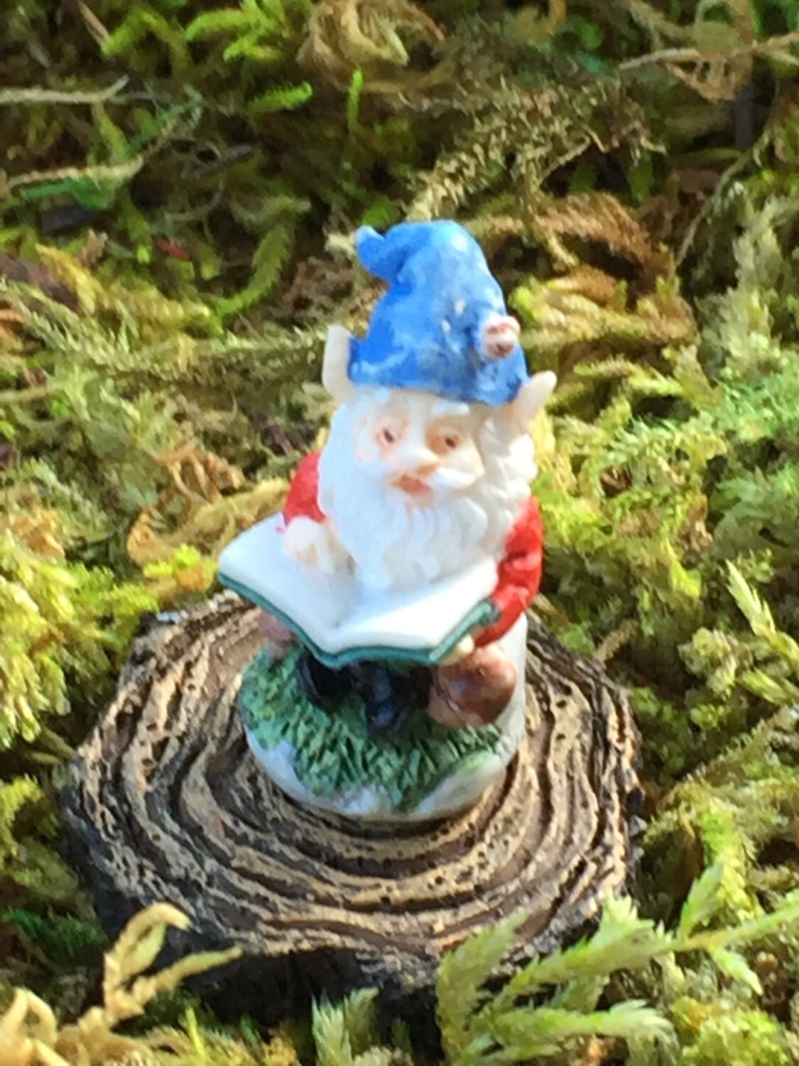 mini gnome figurines bulk