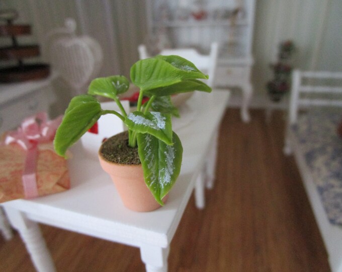 Miniature Plant, Mini Potted Plant In Terra Cotta Flower Pot, Style #83,  Dollhouse Miniature, 1:12 Scale, Dollhouse Decor, Accessory
