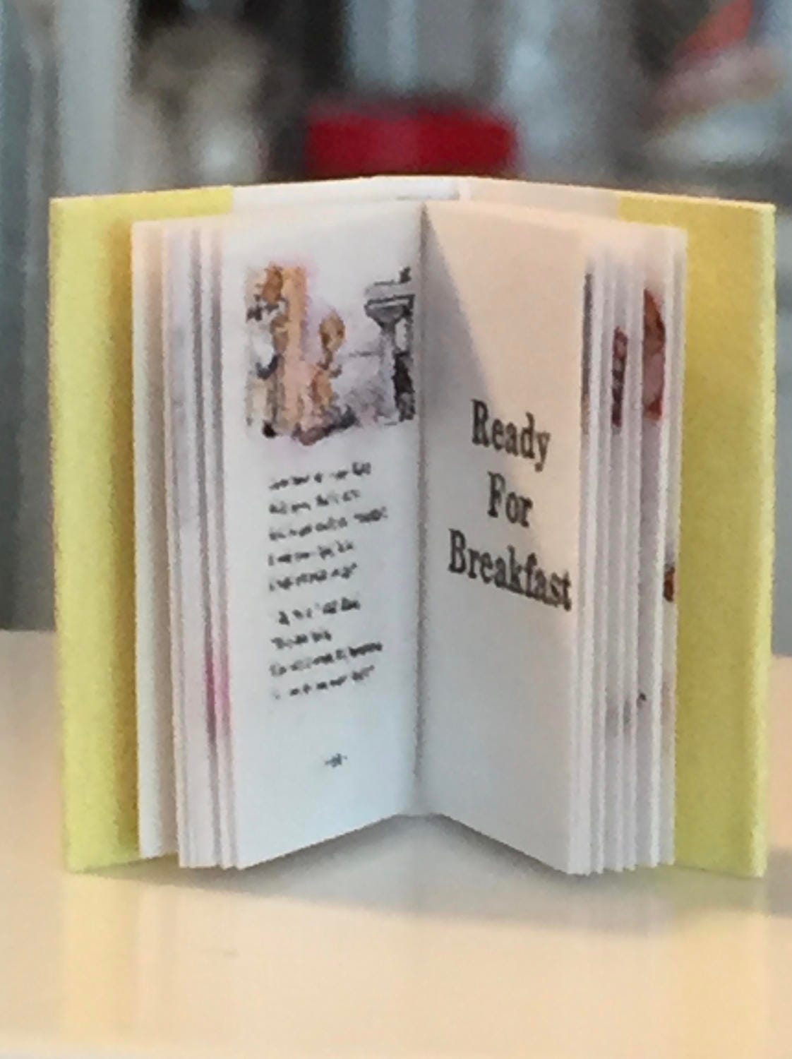 Download Miniature Book, Dick and Jane, Printed Inside Pages, Dollhouse Miniature, 1:12 Scale, Color ...