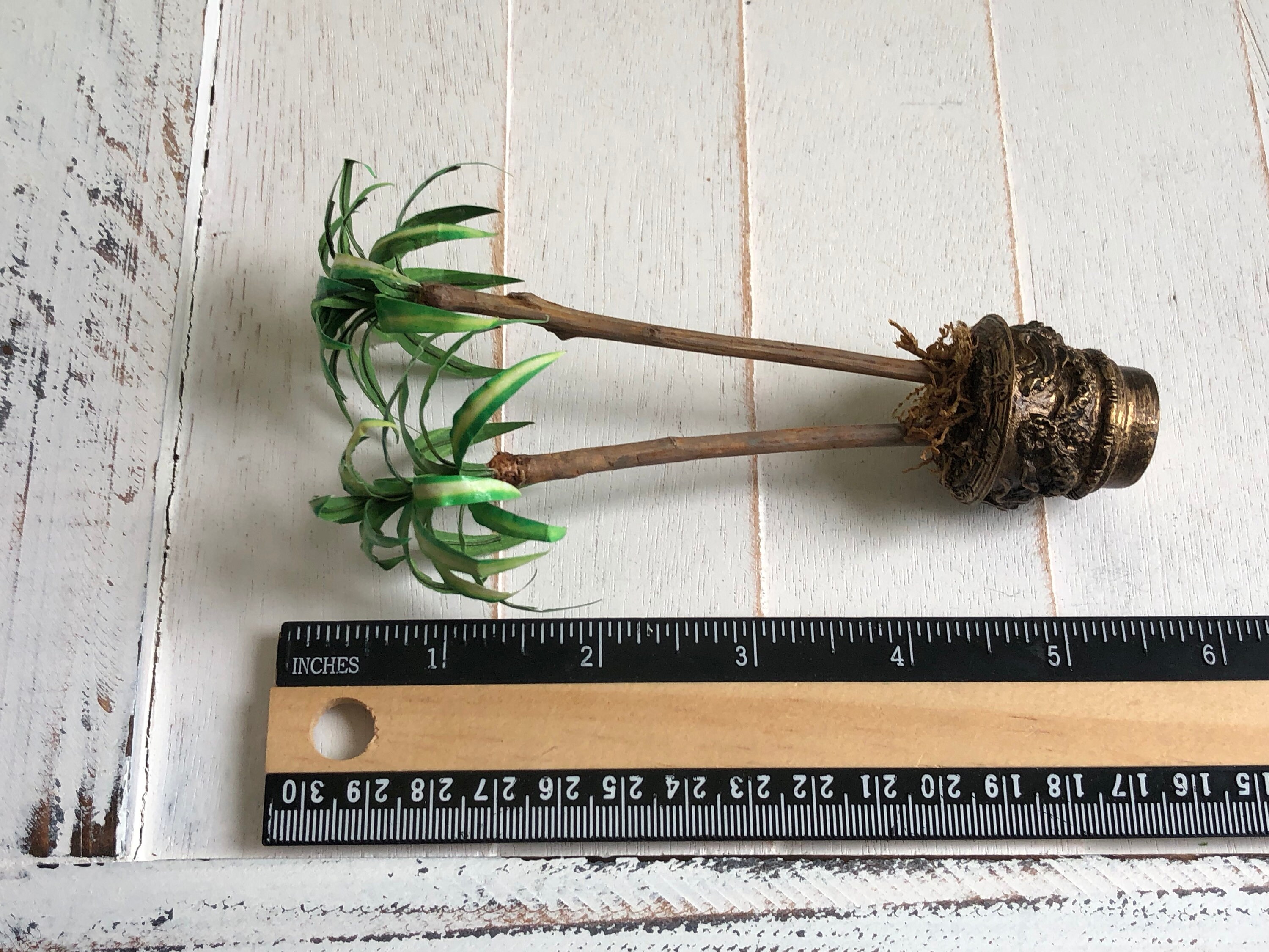 Miniature Palm Tree in Planter, Mini Mass Cane Palm, Dollhouse Miniature, 1:12 Scale, Dollhouse