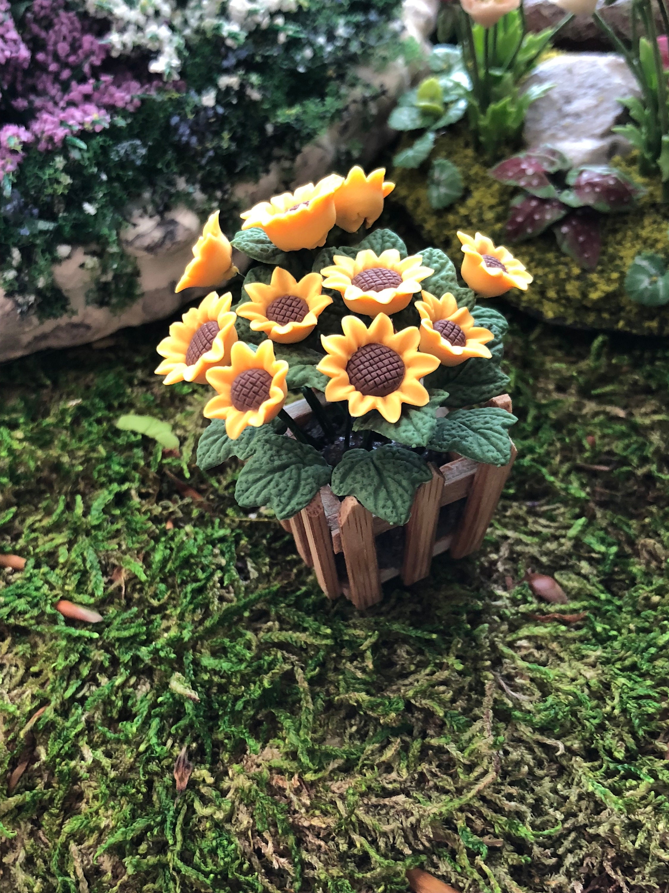 Miniature Sunflowers, Sunflowers in Wood Picket Fence Planter