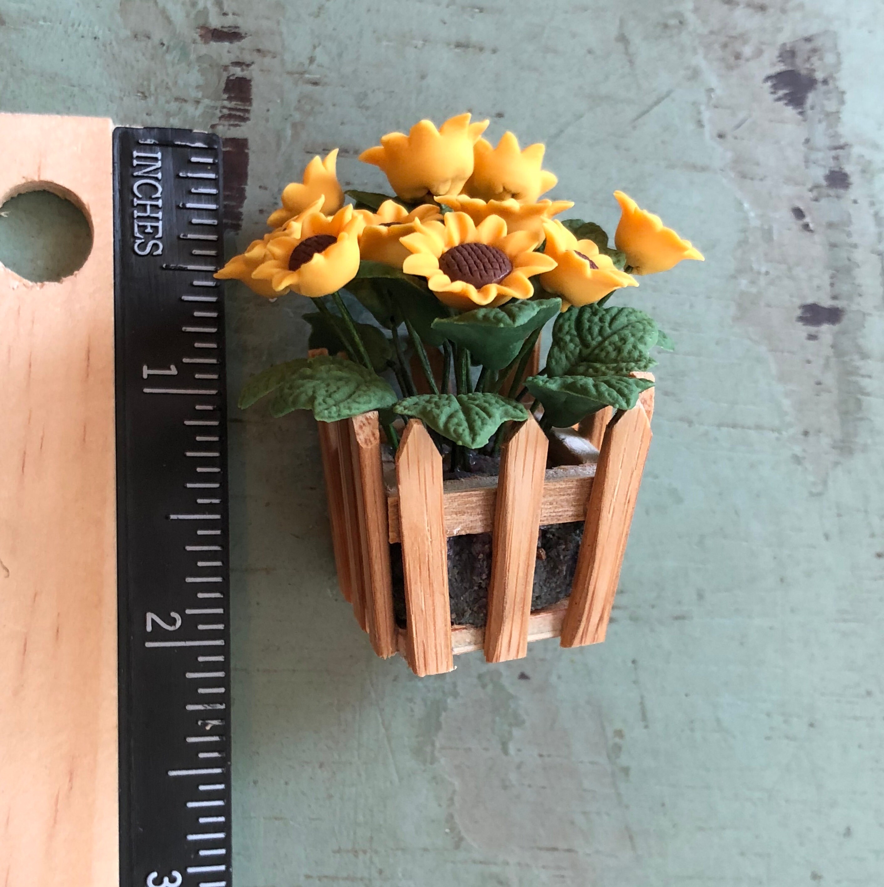 Miniature Sunflowers, Sunflowers in Wood Picket Fence Planter