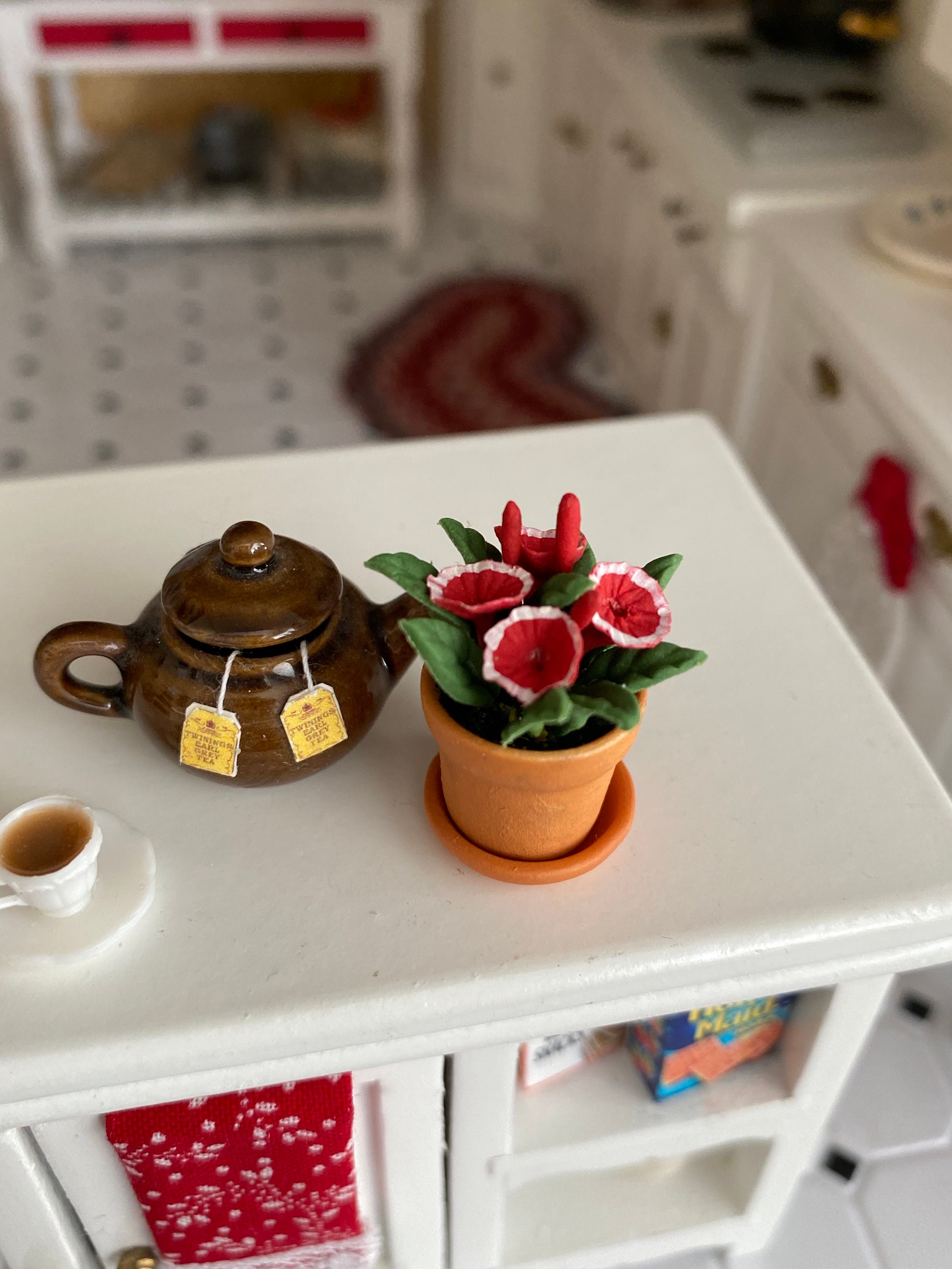 Miniature Petunias, Mini Flowers in Clay Flower Pot With Removable Drip