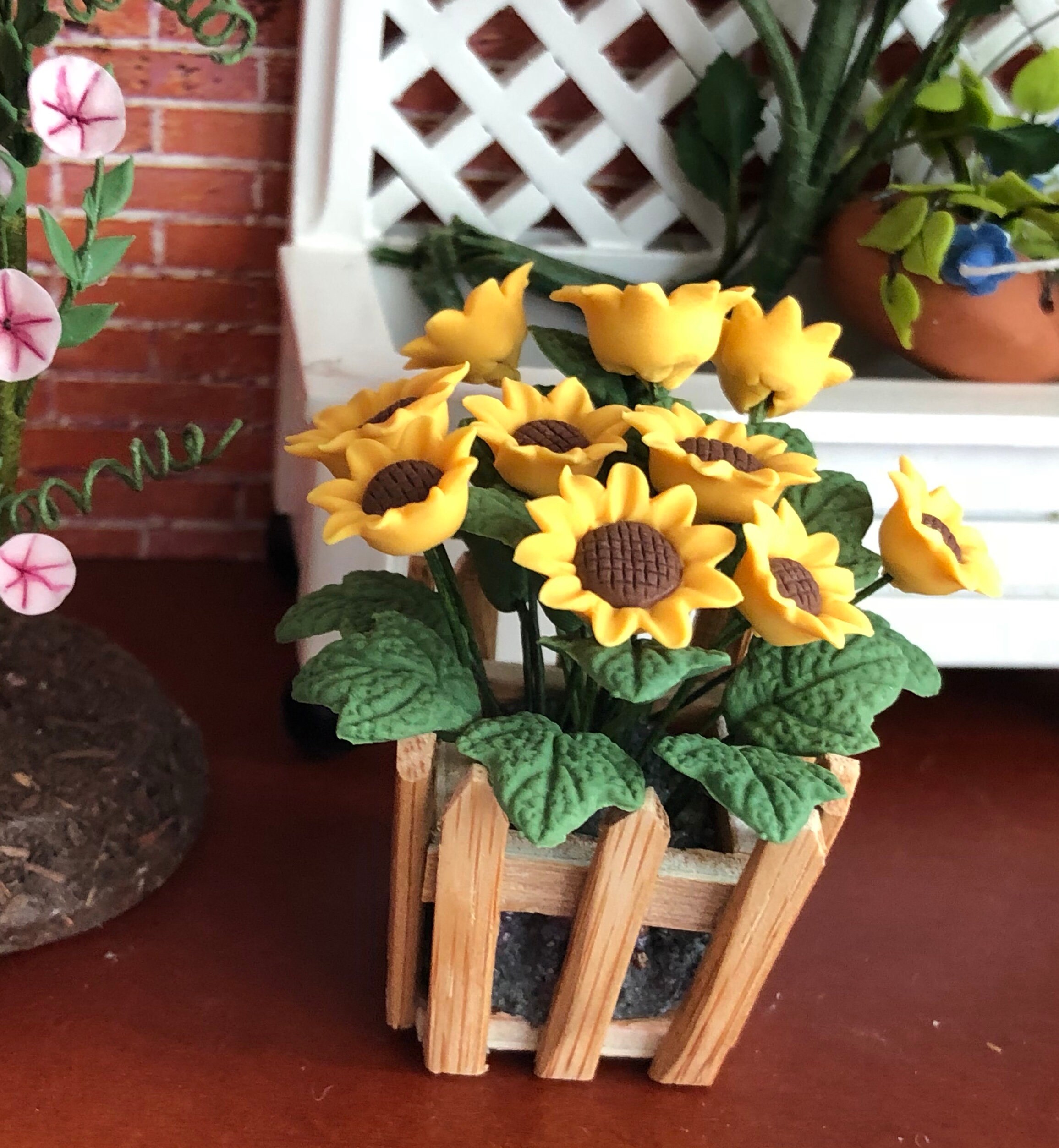 Miniature Sunflowers, Sunflowers in Wood Picket Fence Planter
