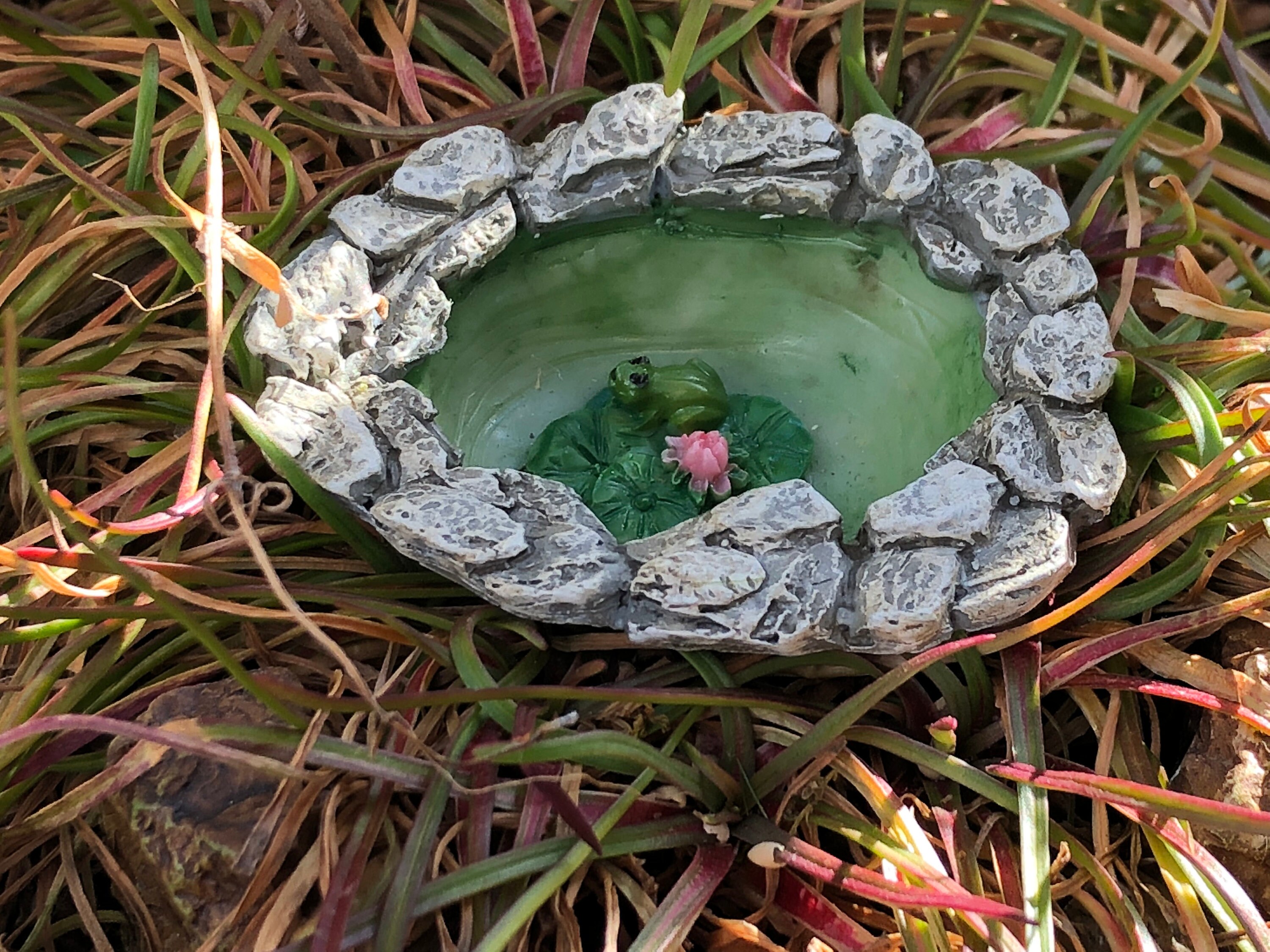 Micro Mini Frog Pond 35 Fairy Garden Accessory Garden Etsy