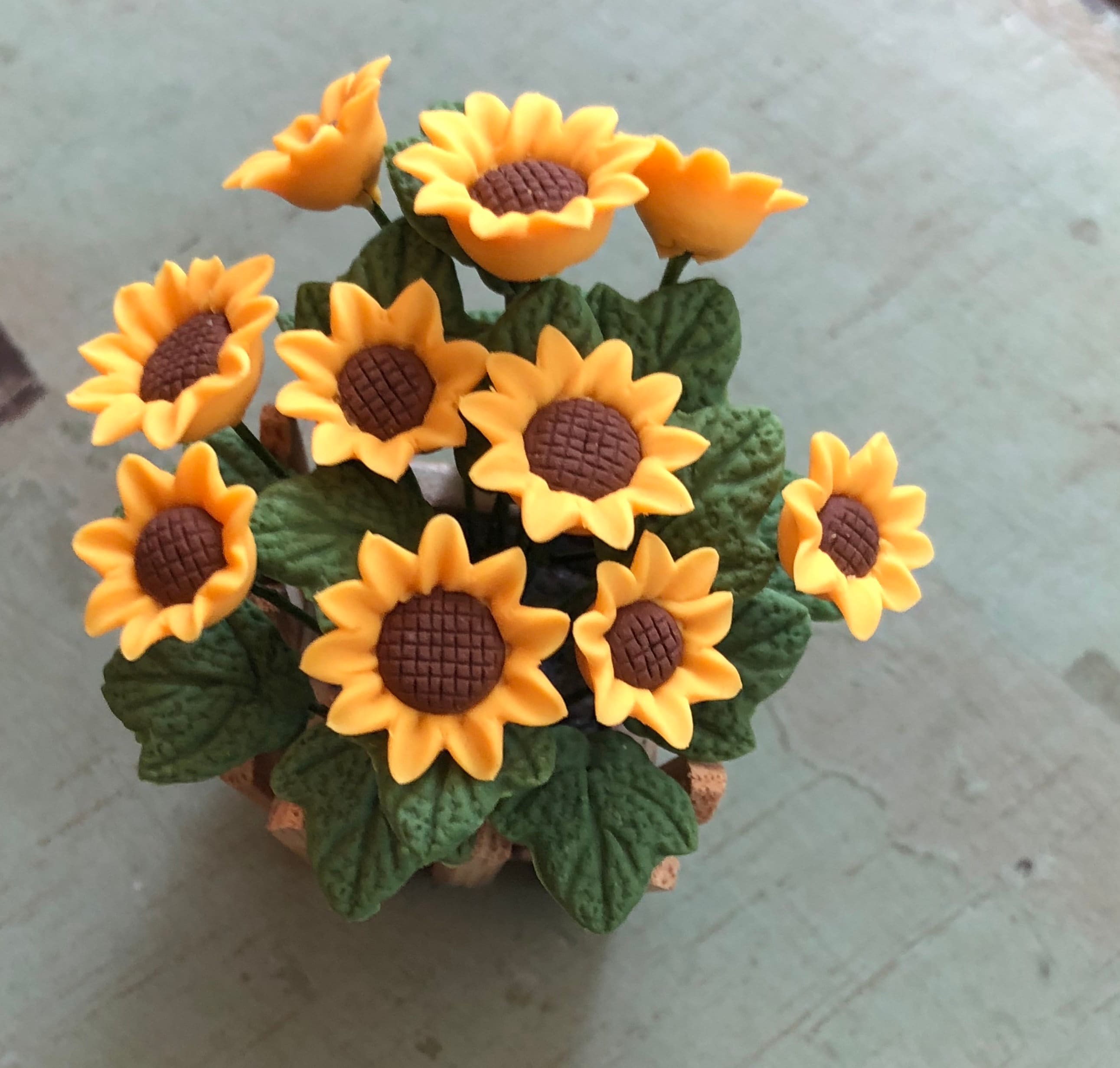 Miniature Sunflowers, Sunflowers in Wood Picket Fence Planter