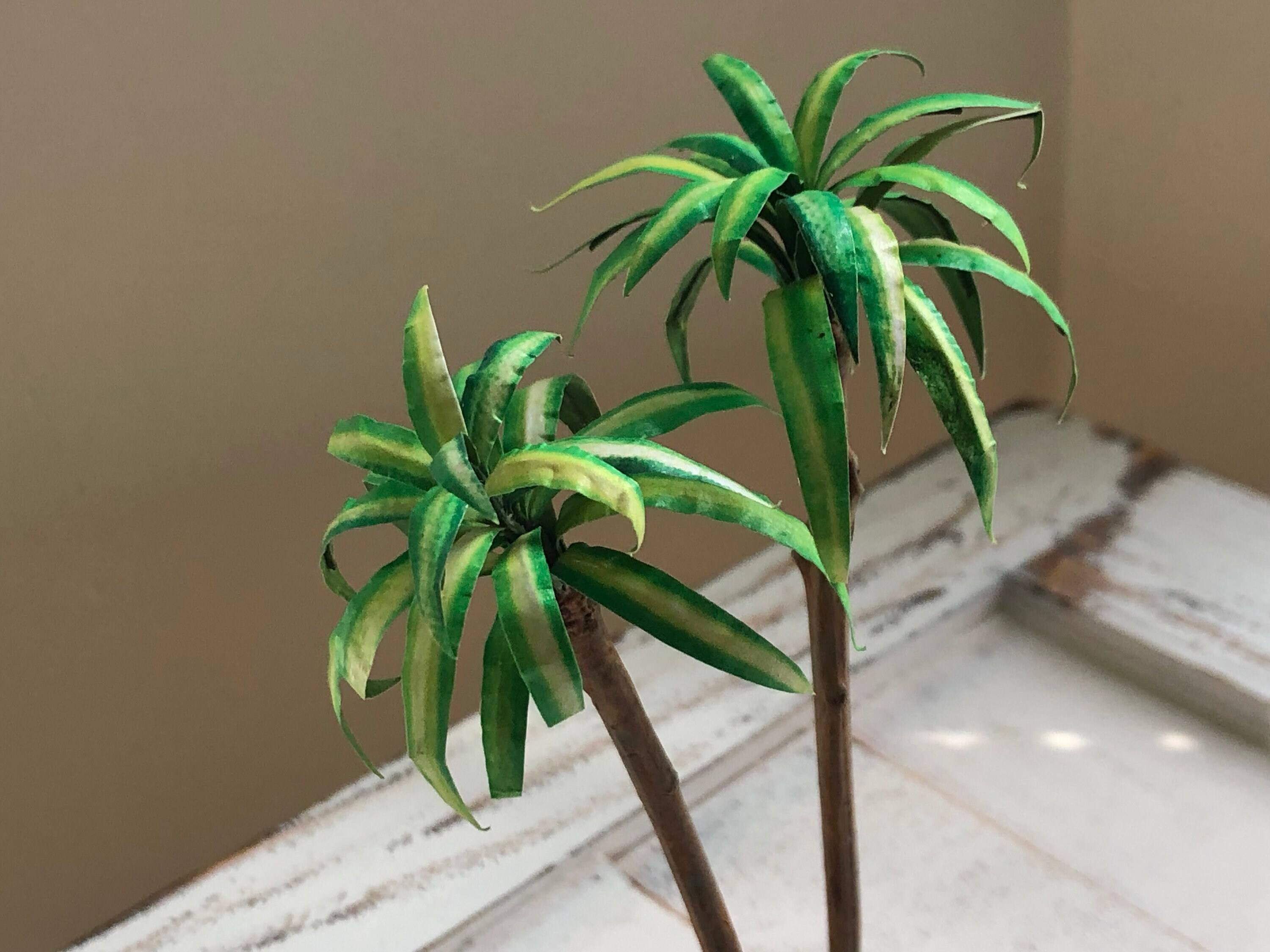 Miniature Palm Tree in Planter, Mini Mass Cane Palm, Dollhouse
